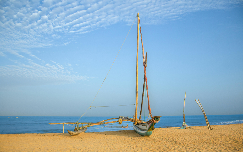Negombo City tour - thrilled guest 2