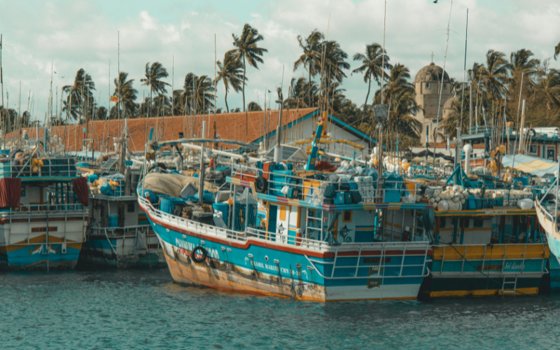 Negombo City tour - thrilled guest 2