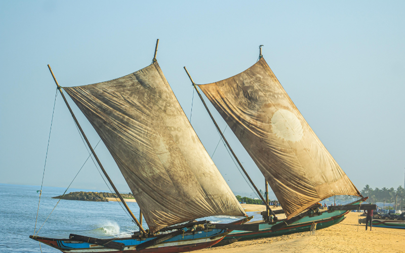 Negombo City tour - thrilled guest 2