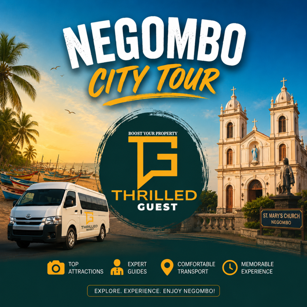 Day Tours From Negombo – The Ultimate Guide to Exploring Sri Lanka